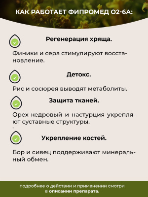 О2-6A Артроз коленного сустава