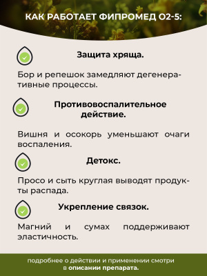 О2-5 Артроз тазобедренного сустава (Коксартроз)