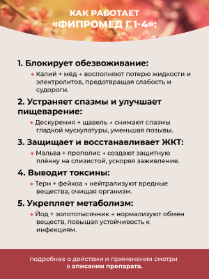 Фипромед Г1-4 Рвота