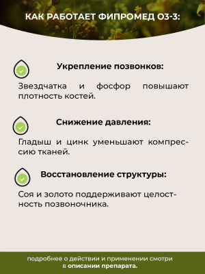 О3-3 Грыжа Шморля