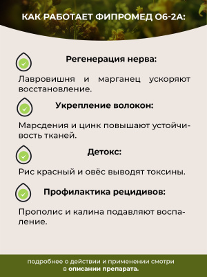 О6-2A Ишиас