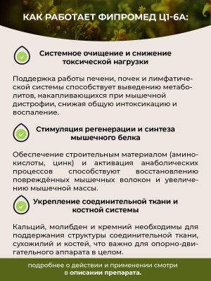 Фипромед Ц1-6А Миопатии