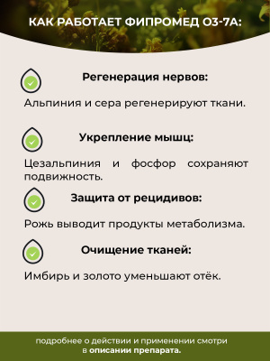 О3-7A Люмбаго