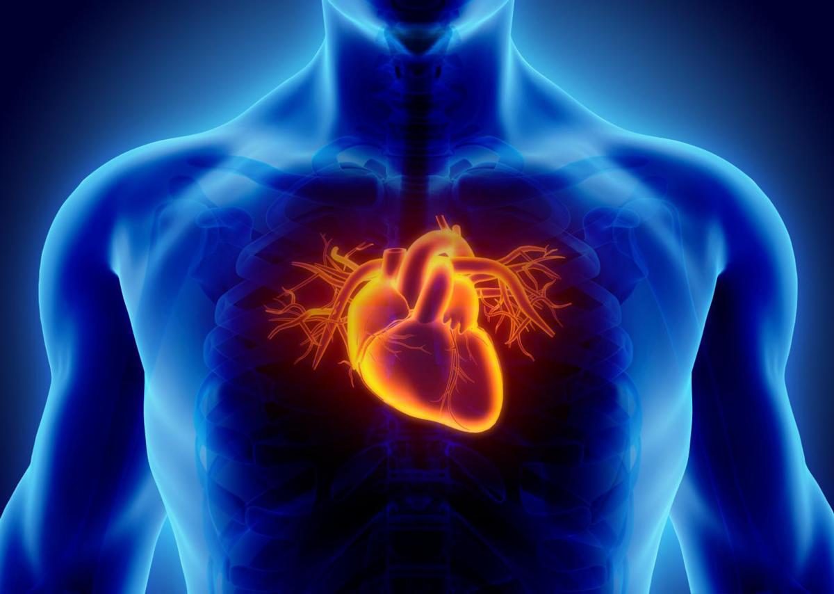 Ишемическая болезнь сердца (инфаркта миокарда, сердцебиения, стенокардии)